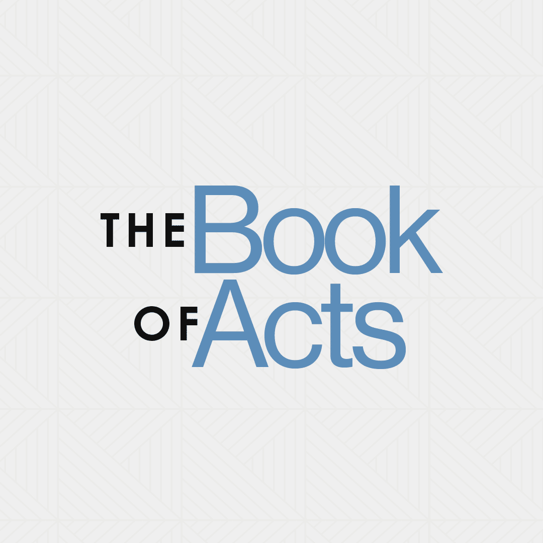 Acts Reading Guide (Digital Download)